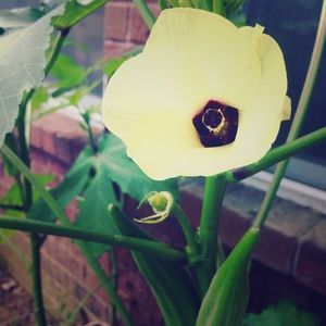 Meet your Posher, Deana